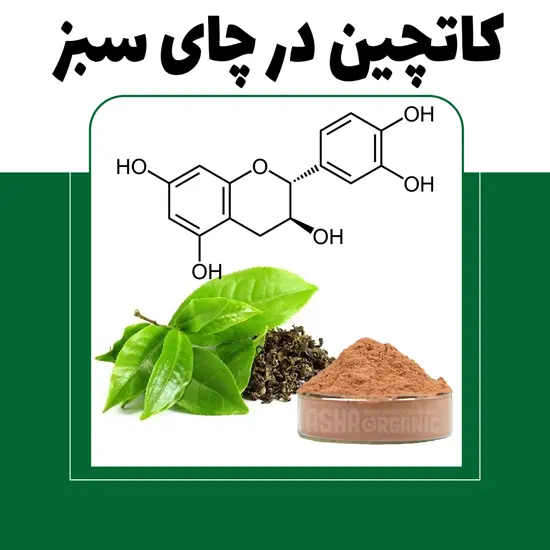کاتچین در چای سبز