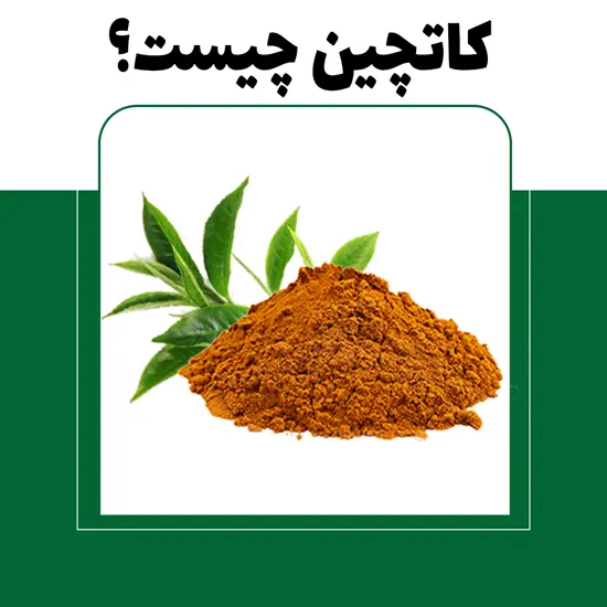 کاتچین چیست