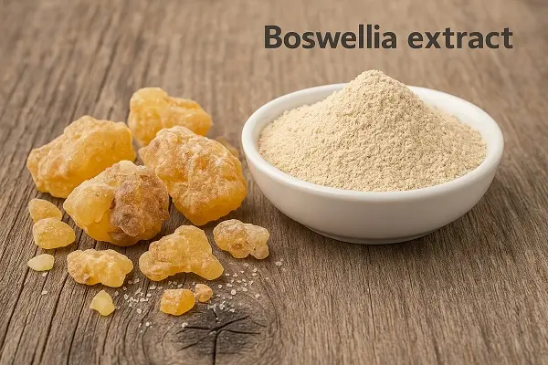 عکس عصاره کندر پودری