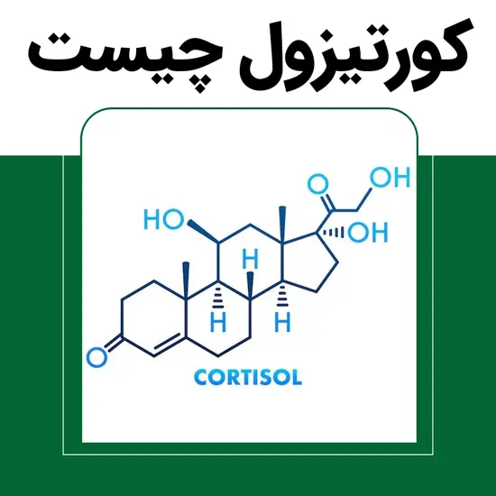 کورتیزول چیست