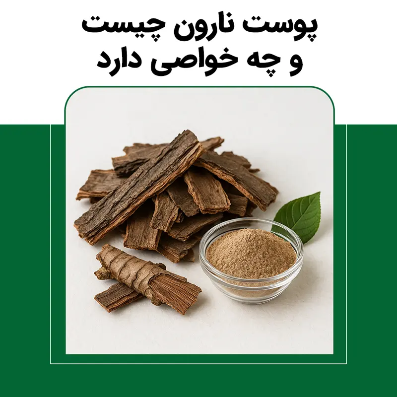 پوست نارون چیست و چه خواصی دارد