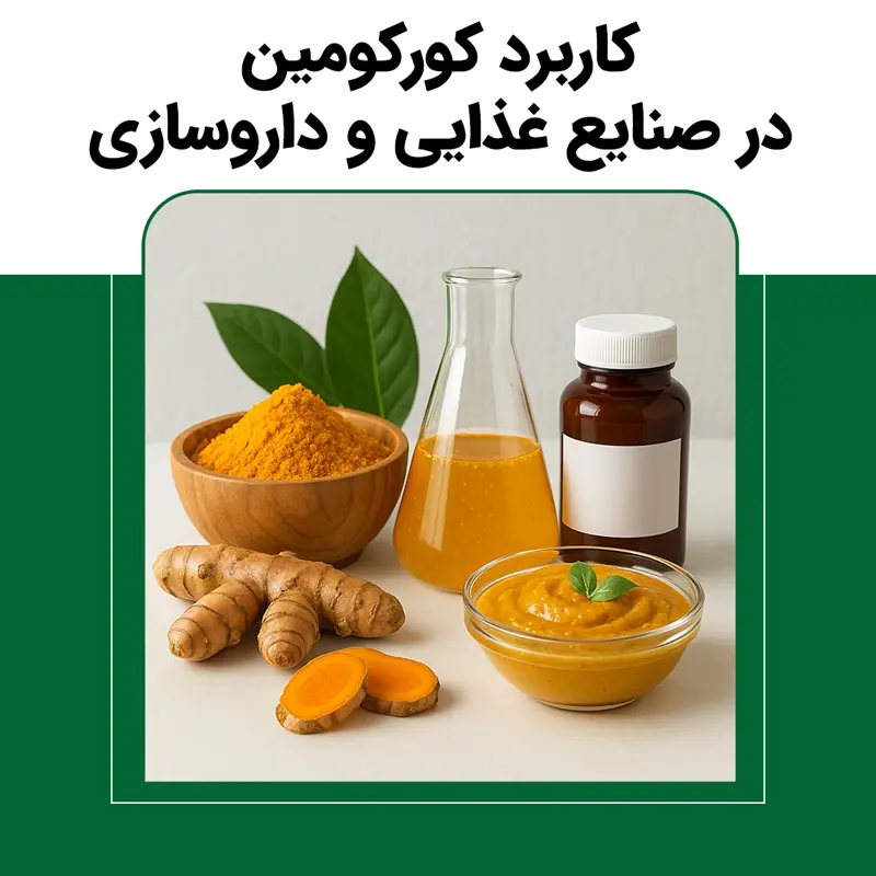 کاربرد کورکومین در صنایع غذایی و داروسازی