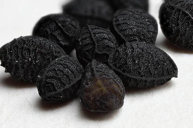 تیموکینون چیست و ازکجا بدست می آید