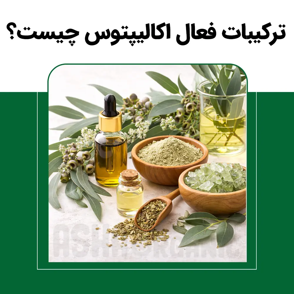 ترکیبات-فعال-اکالیپتوس-چیست