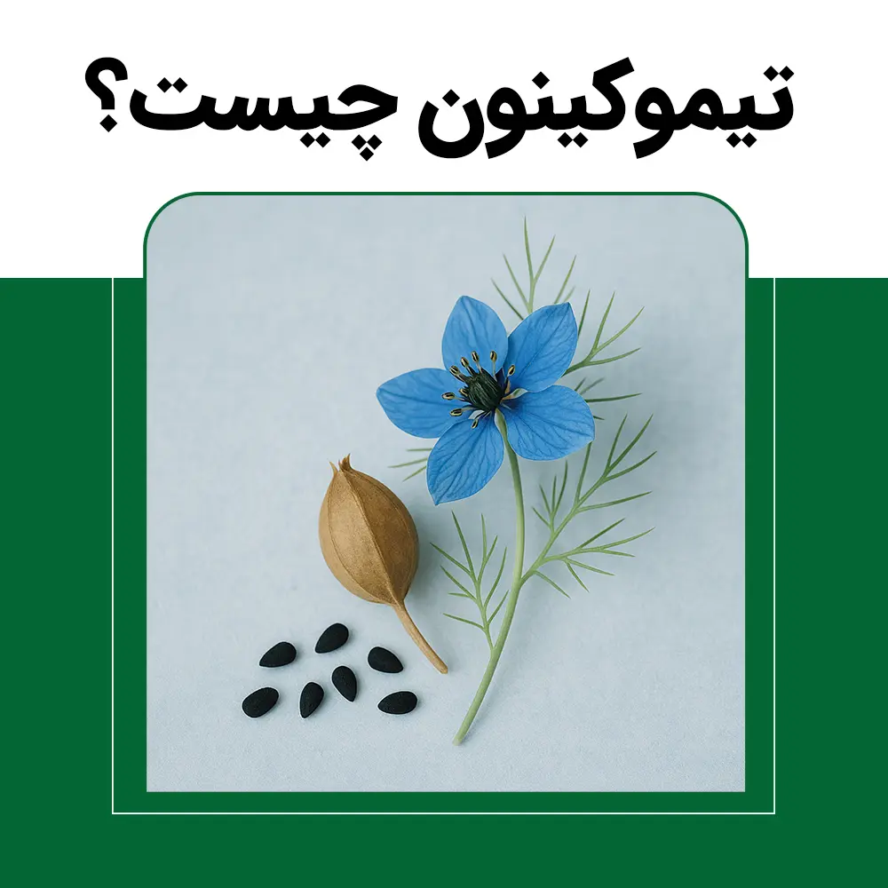 تیموکینون-چیست