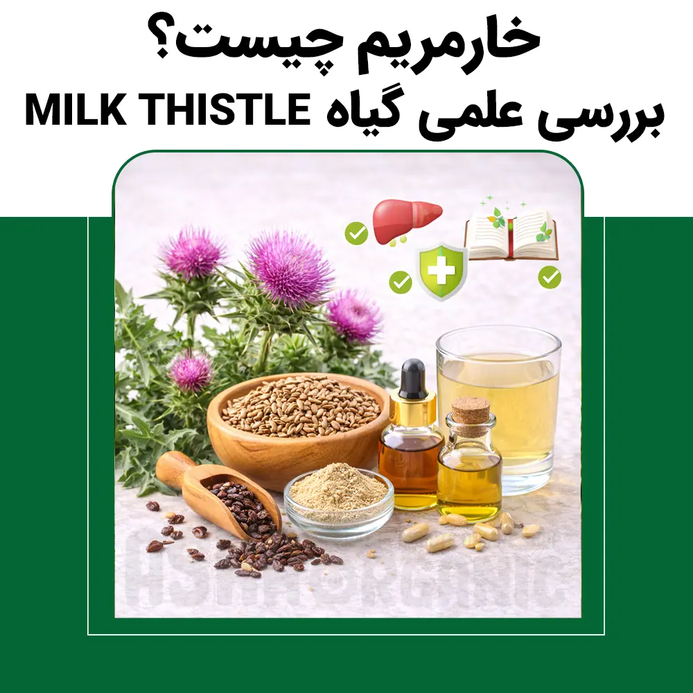 خارمریم چیست؟ بررسی علمی گیاه Milk Thistle