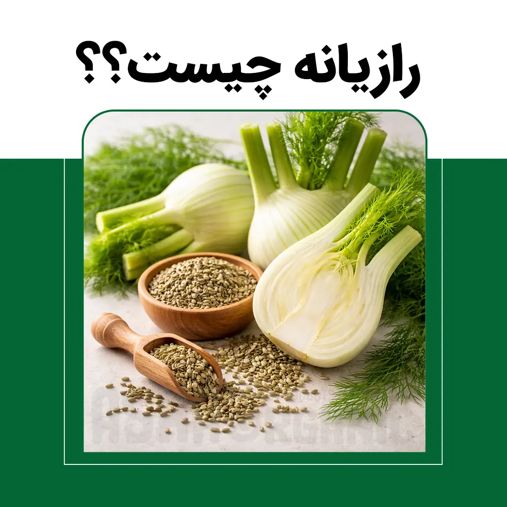 رازیانه-چیست