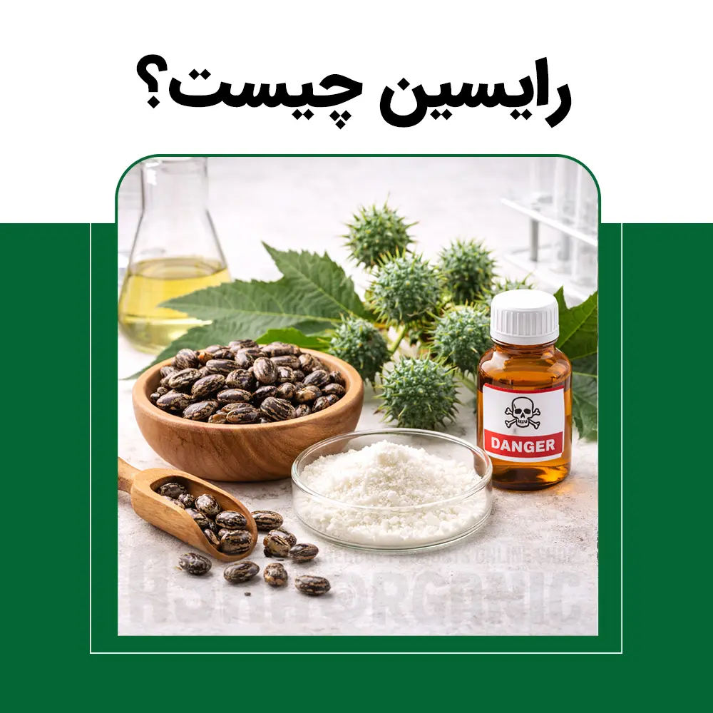 رایسین-چیست؟