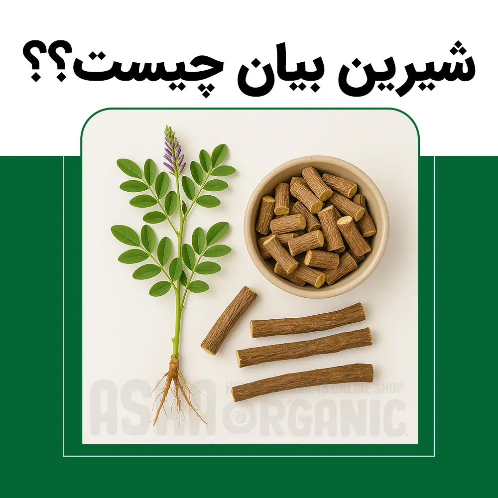 شیرین-بیان-چیست